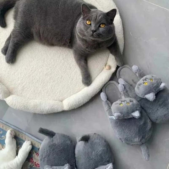 Plüsch-Slippers Tierisches Cartoon-Kätzchen